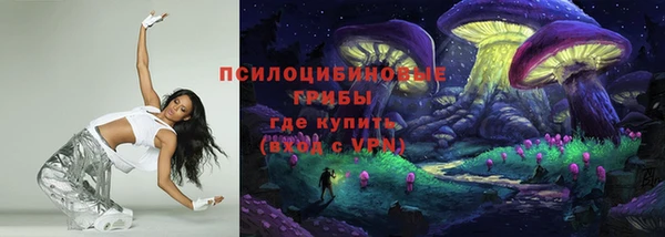 стаф Осташков