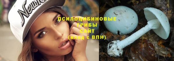 СК Няндома