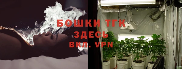 стаф Осташков