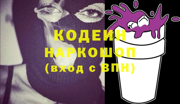 СК Няндома