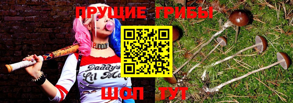 Галлюциногенные грибы GOLDEN TEACHER  Вход с VPN  Псилоцибиновые грибы Psilocybe  Кстово 